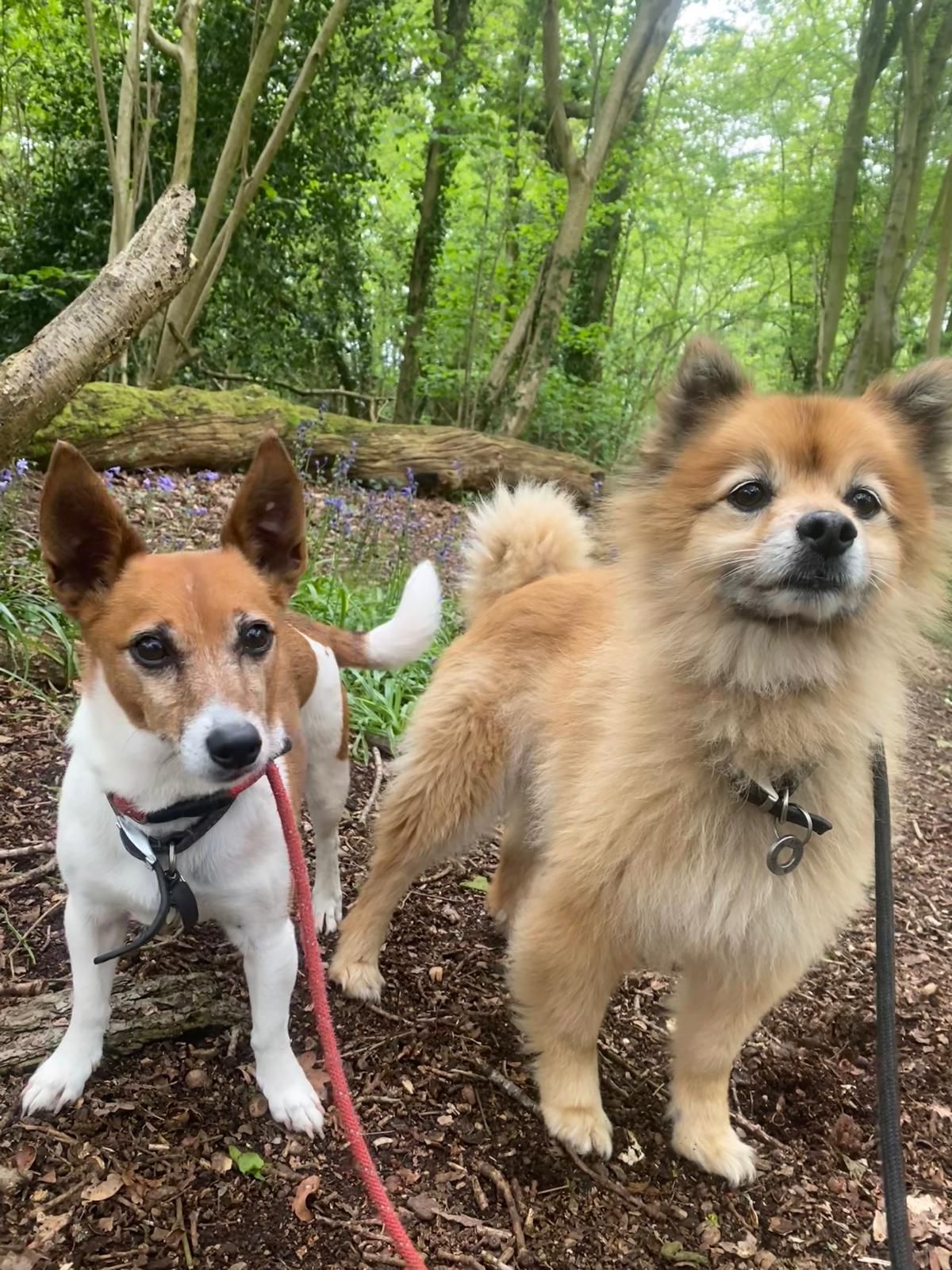 Happy guest enjoying their stay at Roe Clare